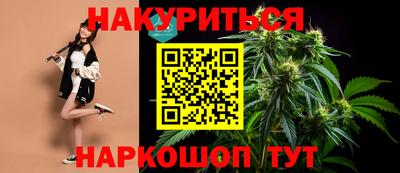 гидра Заводоуковск