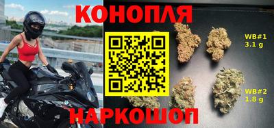 гидра Заводоуковск