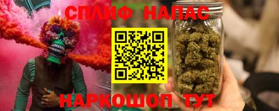гидра Заводоуковск