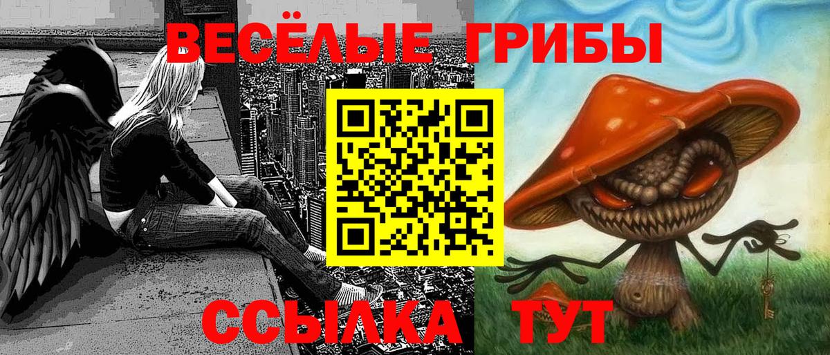 Галлюциногенные грибы Psilocybine cubensis Лесозаводск