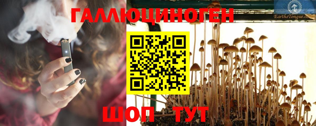 Галлюциногенные грибы мицелий  Галлюциногенные грибы Psilocybe  Вход с VPN  Лесозаводск 